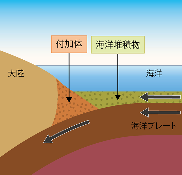 大陸の端に残される付加体の図