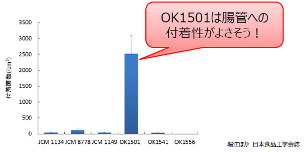 岡山県産の味噌からとった乳酸菌の、腸管への付着性を比較したグラフ