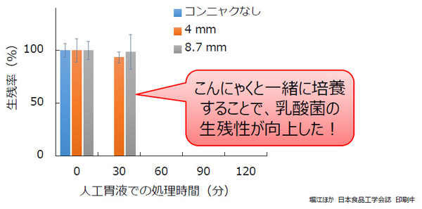 動物性乳酸菌のこんにゃくの有無と厚みの違いによる人口胃液での生存率のグラフ