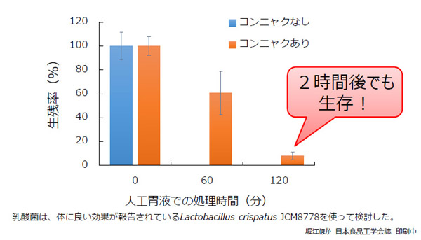 泡入りこんにゃくでの人口胃液内の生存率のグラフ