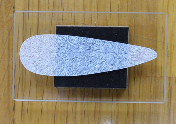 化石サンゴで作った翅の写真