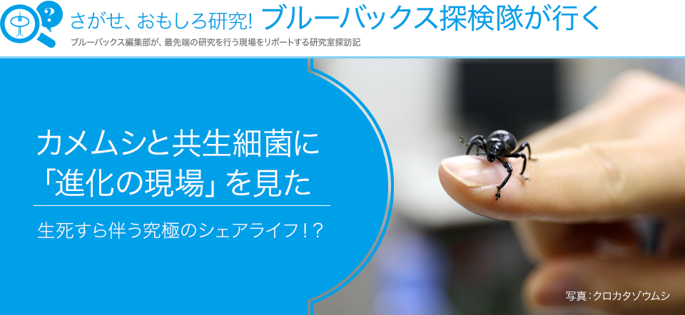 さがせ、おもしろ研究！ ブルーバックス探検隊が行く カメムシと共生細菌に「進化の現場」を見た