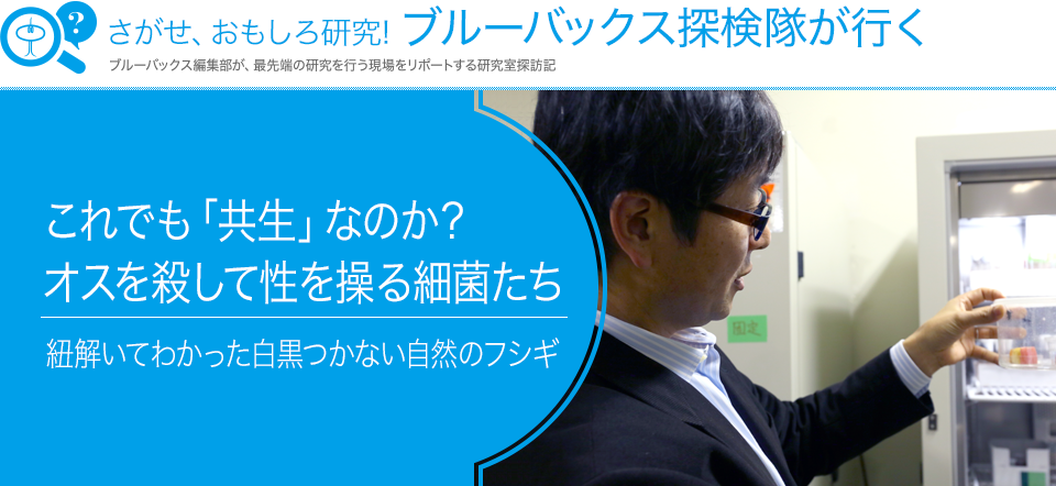 さがせ、おもしろ研究！ ブルーバックス探検隊が行く これでも「共生」なのか？オスを殺して性を操る細菌たち