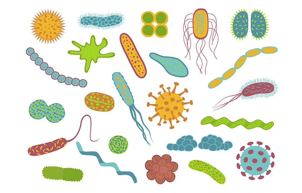 細菌のイメージイラスト