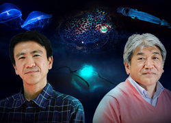 第20回の図