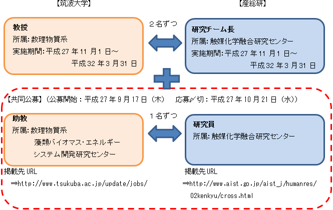 クロスアポイントメントスキーム図