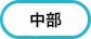 中部