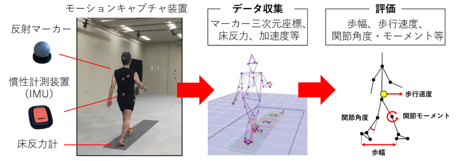 3枚の画像の合成、左から右に矢印でつないである：（左）モーションキャプチャー装置の様子：反射マーカーと慣性計測装置（IMU）を付けて床圧力計の上を歩く人の画像、（中）斜め後ろから見た歩く人の骨格スケルトン（人の体の関節を点で示し、線でつないで動きを表した図）に「データ収集（マーカー三次元座標、床反力、加速度等）」のコメント、（右）同じく横から見た歩く人の骨格スケルトンに「評価（歩幅、歩行速度、関節角度、モーメント等）」のコメント