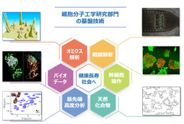 細胞分子工学研究部門の研究イメージ画像