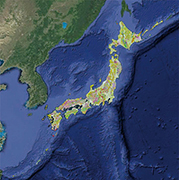 20 万分の1 日本シームレス地質図の写真