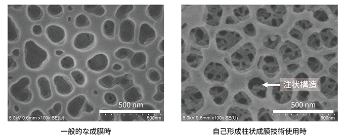 走査型電子顕微鏡（SEM）像