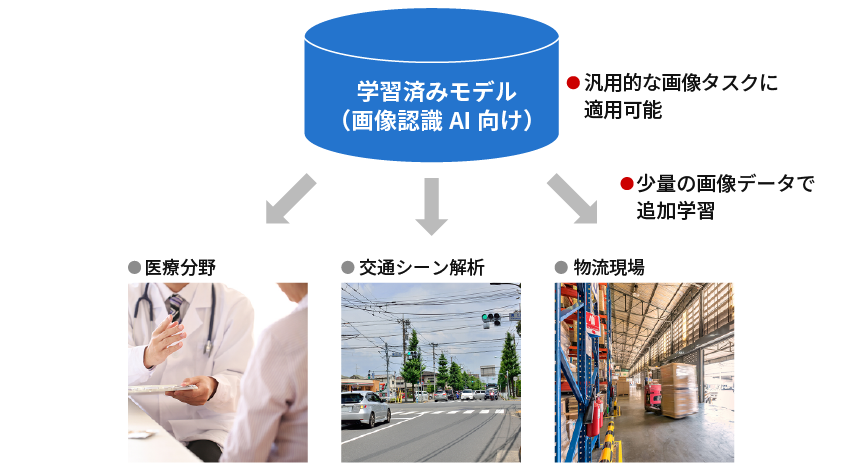 汎用的なデータで事前学習済みのAI（モデル）を医療分野など個別の用途のデータで追加学習させることで、高精度の画像認識AIを実現できる