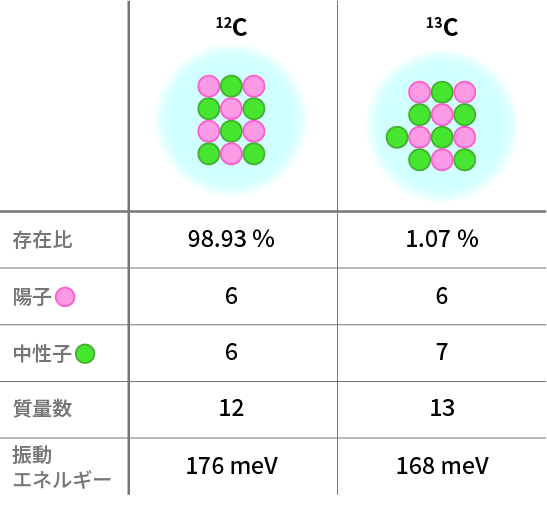 炭素の安定同位体の模式図