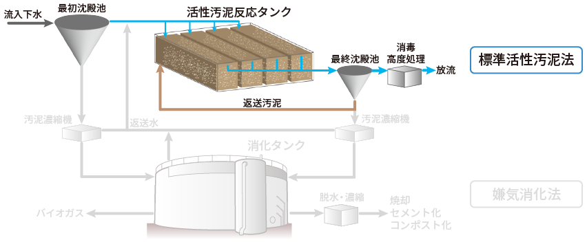 代表的な都市下水処理施設における処理の概略図（標準活性汚泥法部分）