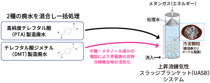 PETの原料となる2種の異なる廃水を一括処理するためのシステムを設計の図