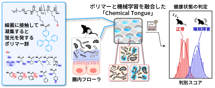 バイオ試料の特徴を別する技術「Chemical Tongue」