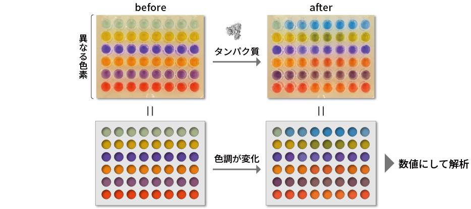 色素を利用したChemical Tongueの例