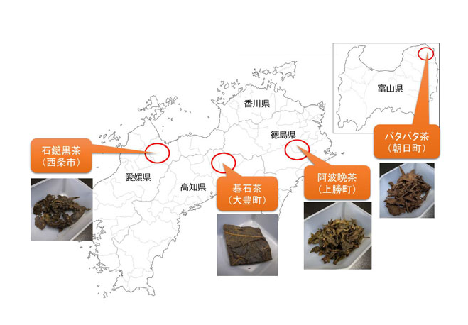 四国のお茶の産地