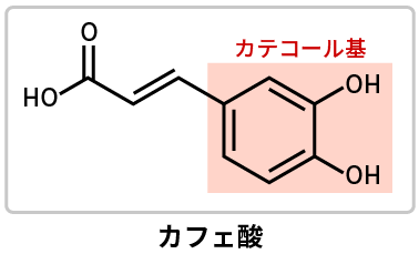 カテコール基を中心にしたシンプルな構造のカフェ酸