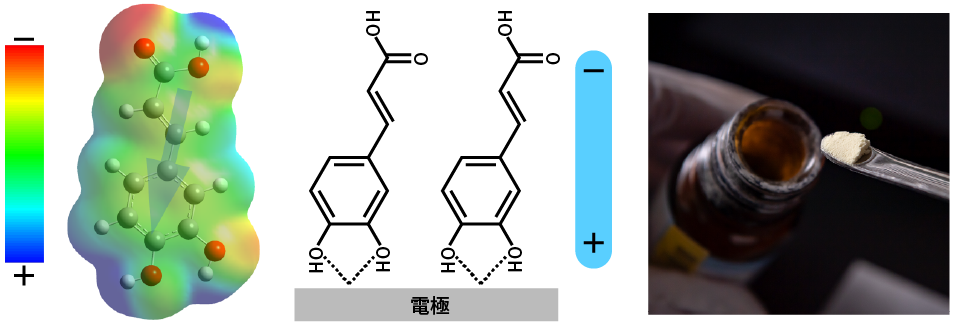 カフェ酸が電極につく際の向きの図