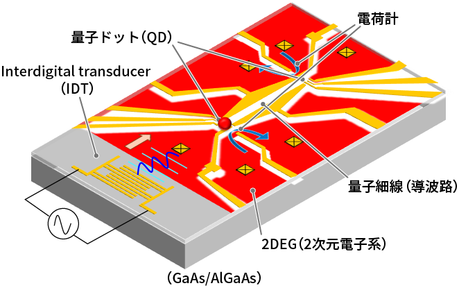 表面弾性波を用いた単一電子の移送に成功した素子のイメージ図