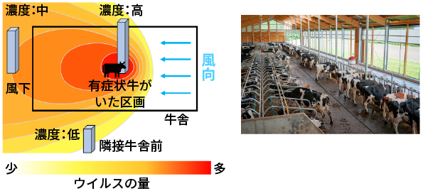 牛舎内外の3地点でのウイルスの分布図