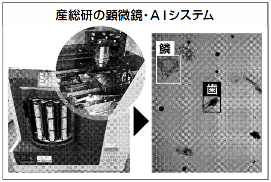 産総研の顕微鏡・AIシステムの図