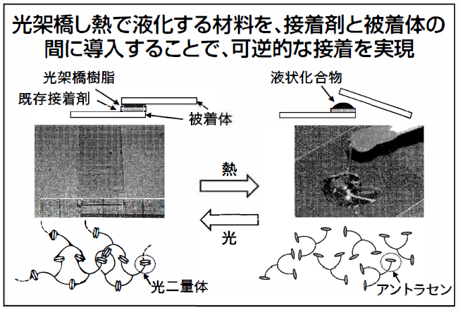 光架橋し熱で液化する材料を、接着剤と被着体の間に導入することで、可逆的な接藩を実現の図