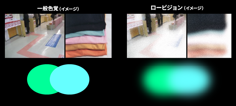 一般色覚とロービジョンの見え方を比較した図