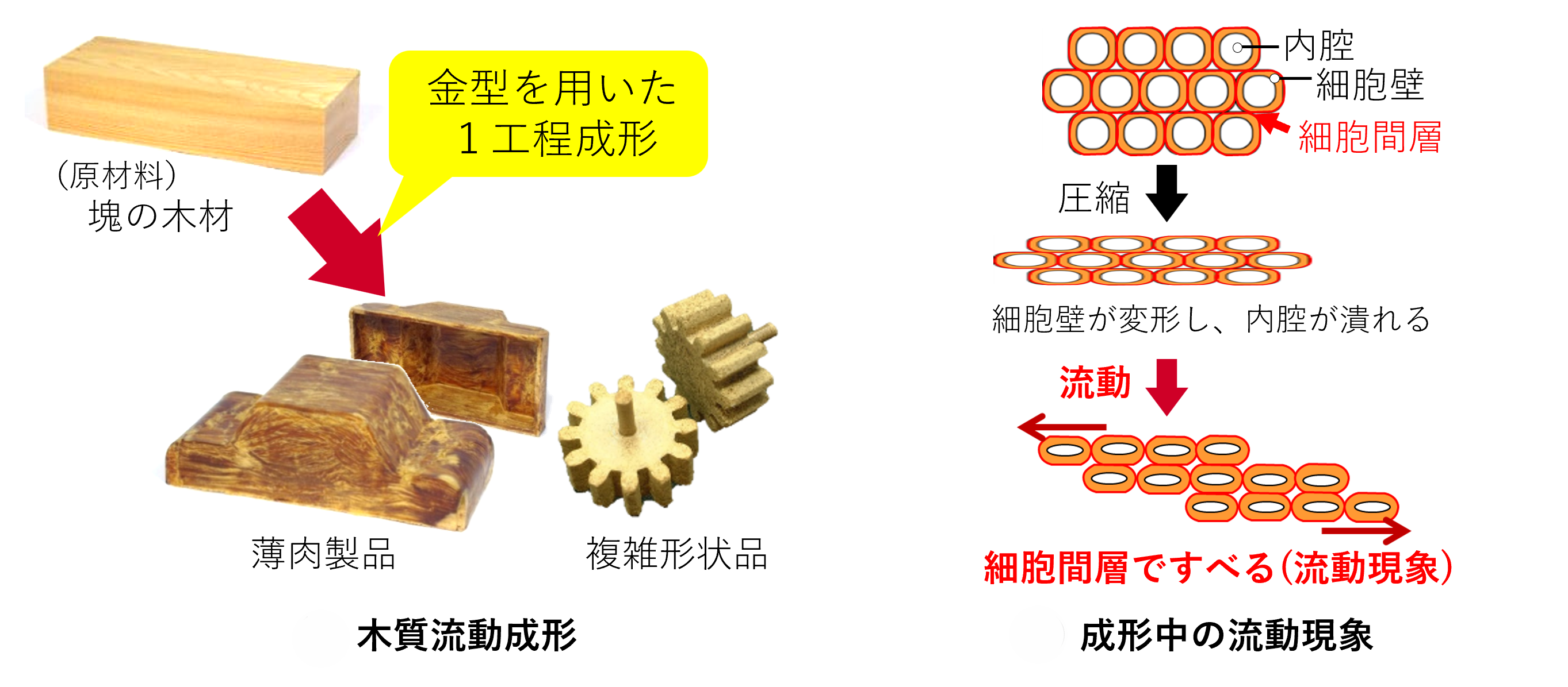木質流動成形と流動現象の図