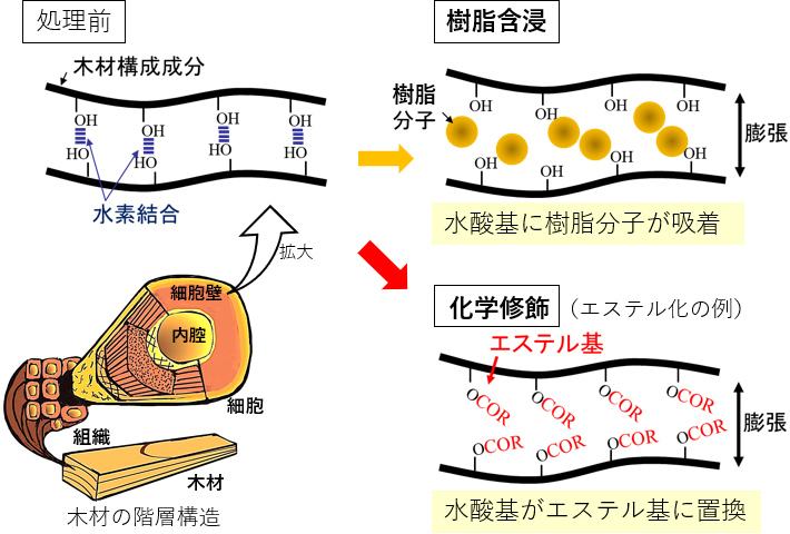 分子レベルの構造制御の例の図
