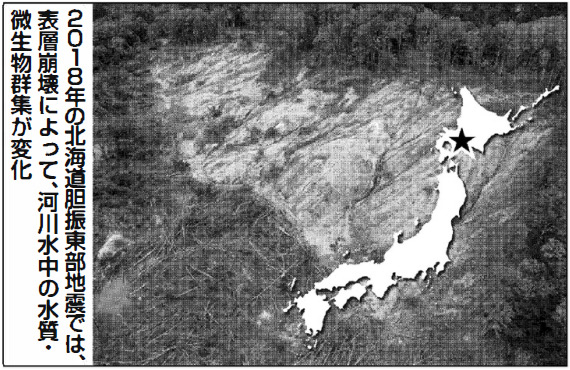 2018年の北海道胆振東部地震の表層崩壊