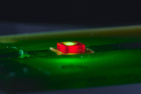 NVセンターから赤色の蛍光が出ている様子
