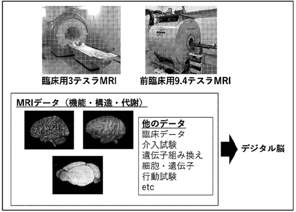 デジタル脳構築の図