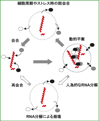 図2