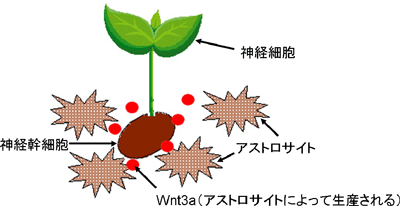 図2