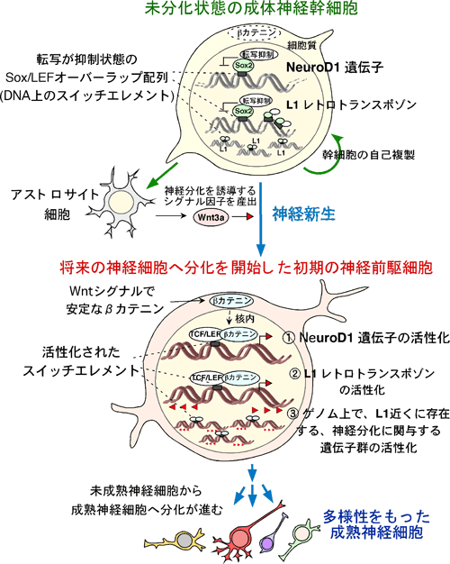 図5