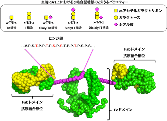 図1