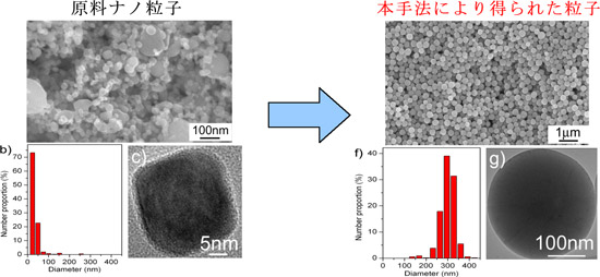 酸化銅の原料ナノ粒子(左)とパルスレーザー光を照射して得られた球状粒子（右）の図