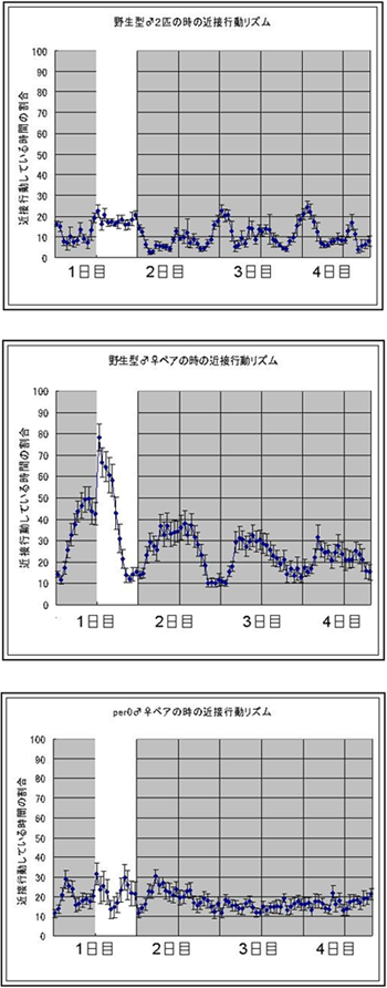 シャーレにショウジョウバエを2匹入れ、昼夜1日、恒暗3日観察したときの近接行動リズムの図