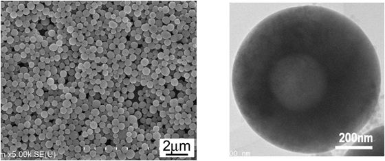 サブマイクロメートル球状粒子を利用した光散乱体を開発