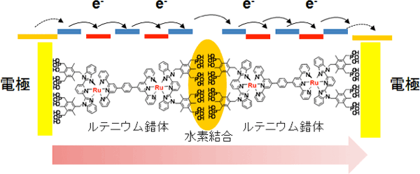 ルテニウム錯体の自己組織化多層膜における飛び石モデルによる長距離電子移動の図