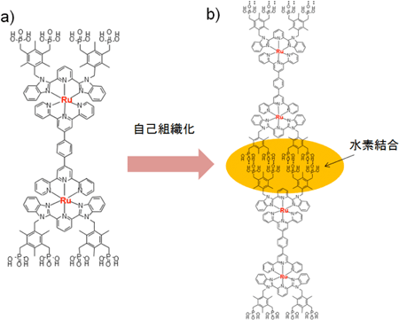 ルテニウム（Ru）錯体とルテニウム錯体による水素結合を介した自己組織化多層膜の模式図