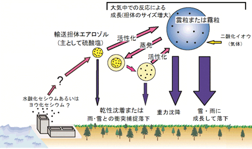 想定される放射性セシウムの輸送過程・粒径変化および地表面への沈着の概念図