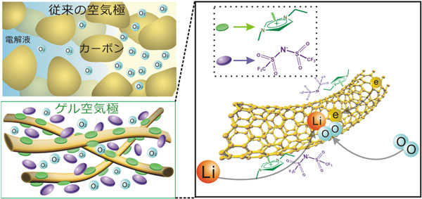 リチウム－空気電池に使われる従来の空気極と今回開発したゲル空気極とゲル空気極内の電子伝導パス、イオン伝導パス、空気拡散パスの模式図