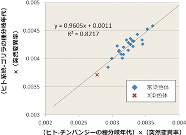 染色体ごとに推定した「種分岐年代と突然変異率の積」における相関図