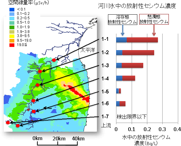 阿武隈川本流の水中の放射性セシウム濃度の図