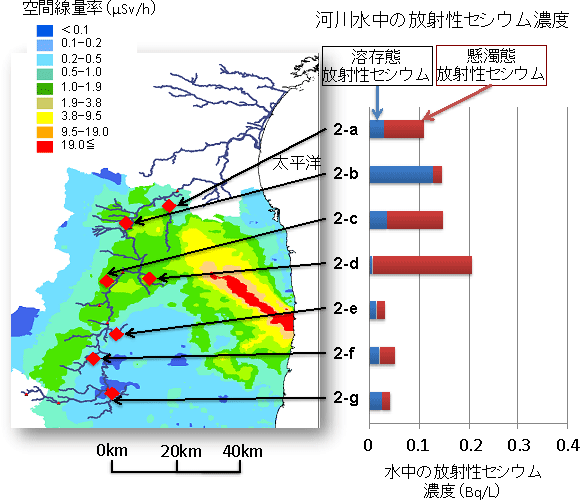 阿武隈川支流の放射性セシウム濃度の図