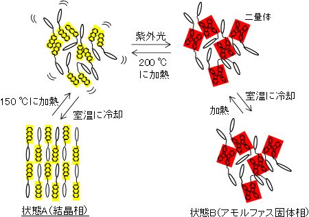 開発した有機材料が室温で安定な2つの相の間で可逆的に相変化するメカニズムの図