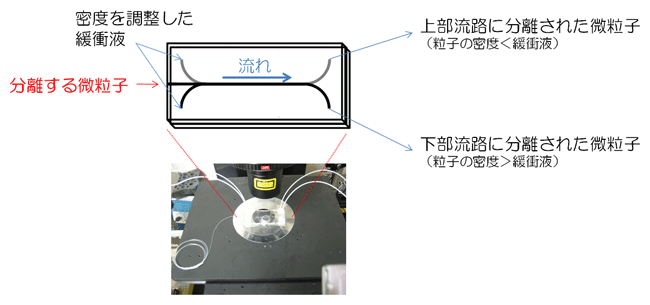 開発したマイクロ流体デバイスと模式図